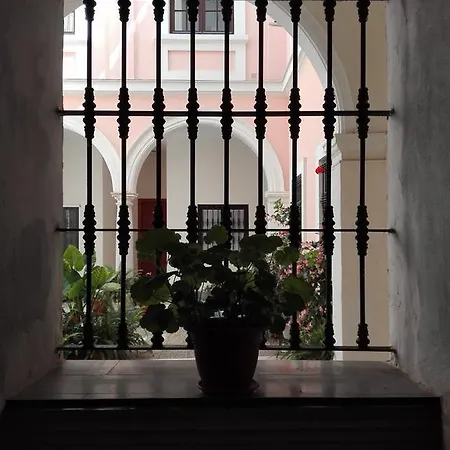 Apartamento San Miguel Caballeros Appartamento *
